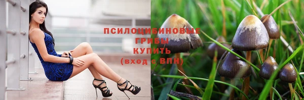 спайс Алзамай