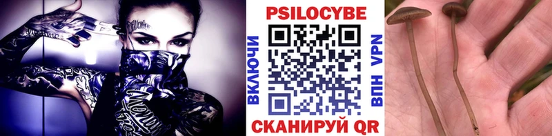 Псилоцибиновые грибы Cubensis  Красноуральск 